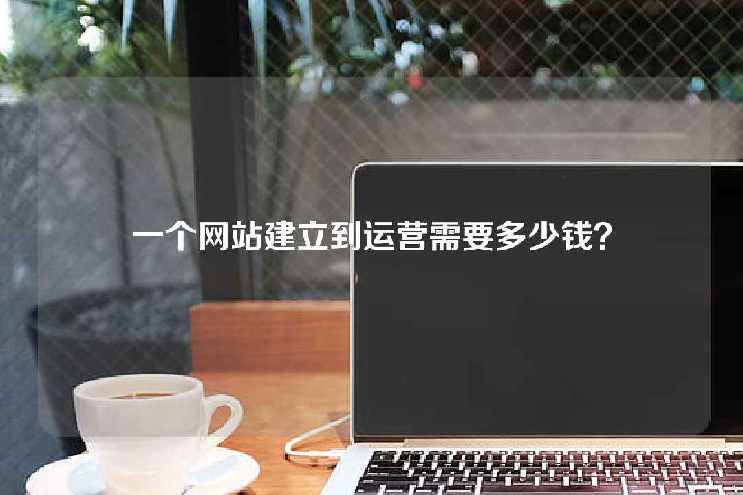 一個(gè)網(wǎng)站建立到運(yùn)營(yíng)需要多少錢？