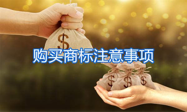 購(gòu)買(mǎi)商標(biāo)需要注意什么？